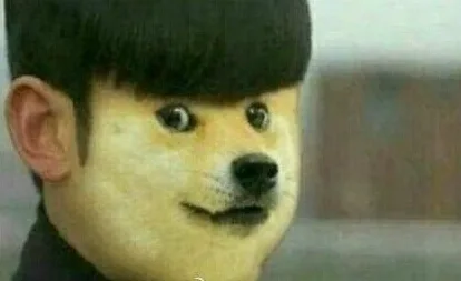 猪敏俊（猪敏俊）