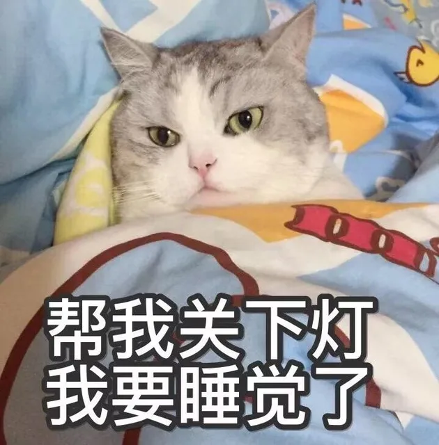 帮我关下灯我要睡觉了（猫咪表情包）