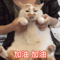 加油加油（加油加油）