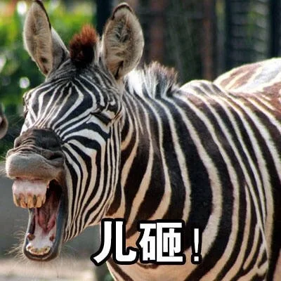 儿砸!