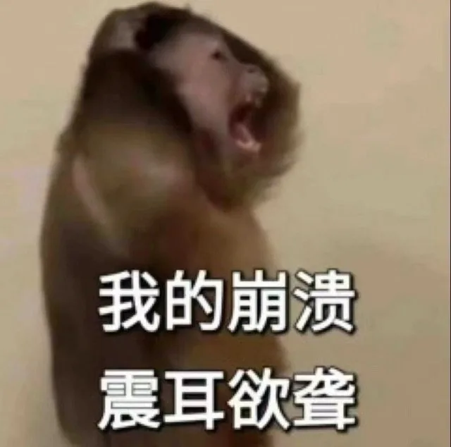 我的崩溃震耳欲聋（我的崩溃震耳欲聋）