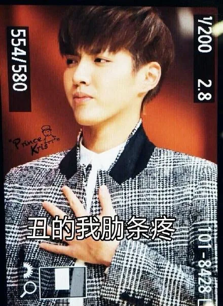 丑的我肋条疼（丑的我肋条疼）