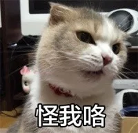 怪我咯（怪我咯）