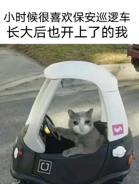小时候很喜欢保安巡逻车长大后也开上了的我lyRU（小时候很喜欢保安巡逻车长大后也开上了的我lyRU）