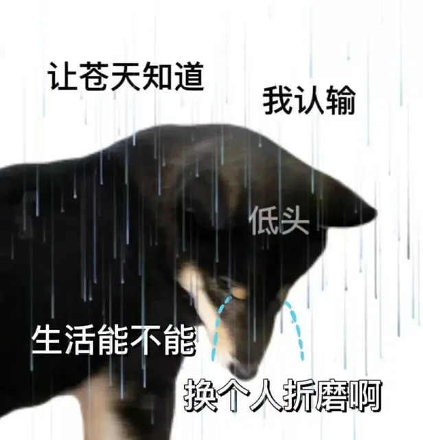 让苍天知道我认输低头生活能不能换个人折磨啊（让苍天知道我认输低头生活能不能换个人折磨啊）