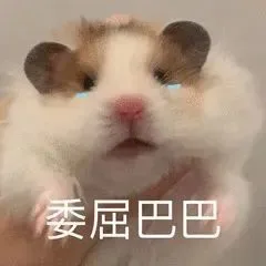 委屈巴巴（委屈巴巴）