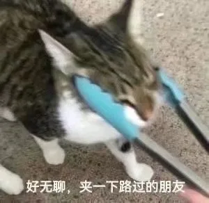 好无聊，夹一下路过的朋友（好无聊，夹一下路过的朋友）