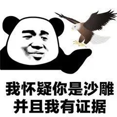 我怀疑你...，但是我没有证据_熊猫头
