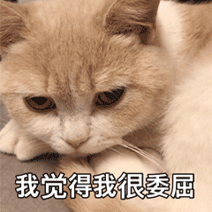 我觉得我很委屈（我觉得我很委屈）