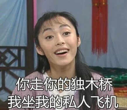 你走你的独木桥，我坐我的私人飞机（你走你的独木桥，我坐我的私人飞机）