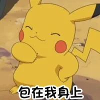 怪我咯？ 约吗 ？ 比卡丘表情包_动图表情包