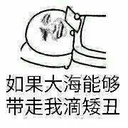 如果大海能够带走我滴矮丑