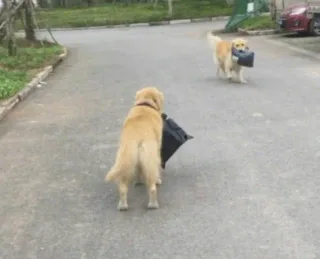 拿个快递遇上同行了