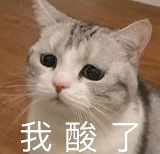 我酸了（猫咪）（我酸了（猫咪））