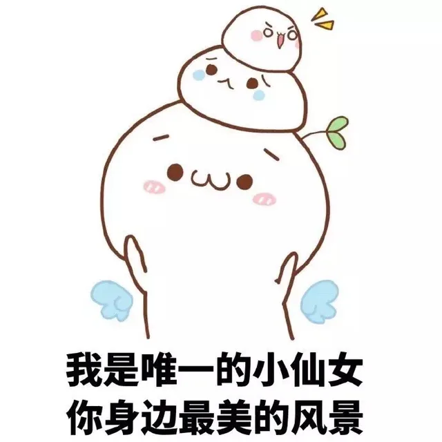 我是唯一的小仙女 你身边最美的风景