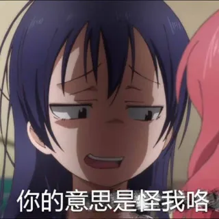 你的意思是怪我咯