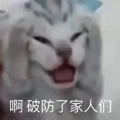 啊破防了家人们（啊破防了家人们）