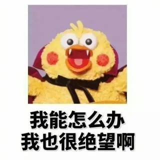 我能怎么办，我也很绝望啊