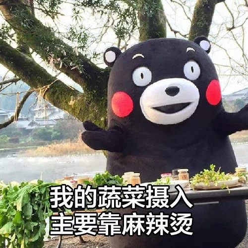 我的蔬菜摄入主要靠麻辣烫（我的蔬菜摄入主要靠麻辣烫）