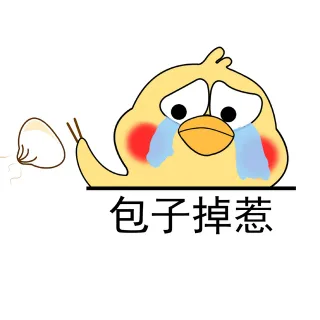 包子掉惹