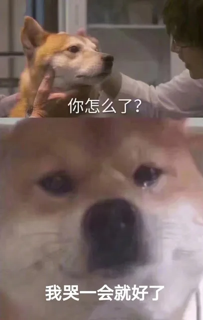 你怎么了？我哭一会就好了（你怎么了？我哭一会就好了）