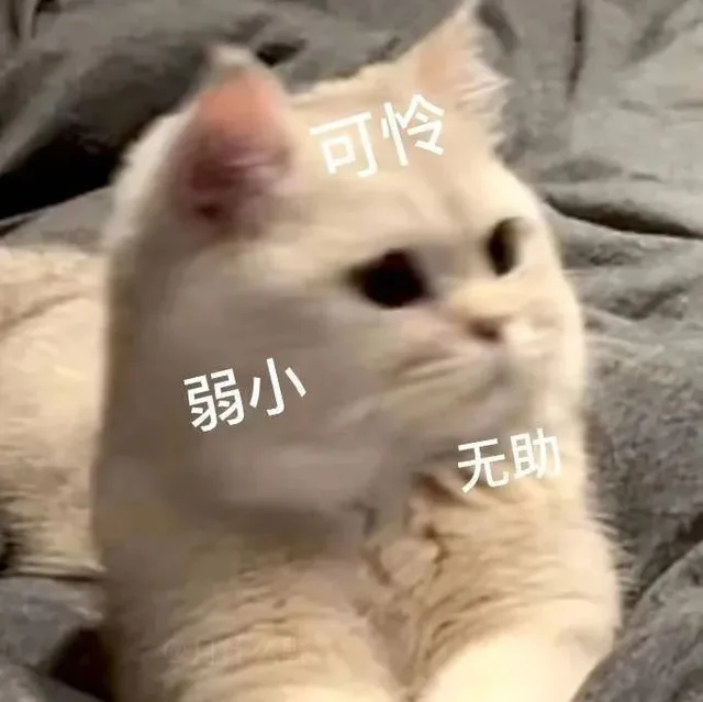 可怜弱小无助