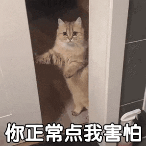 你正常点我害怕（你正常点我害怕）