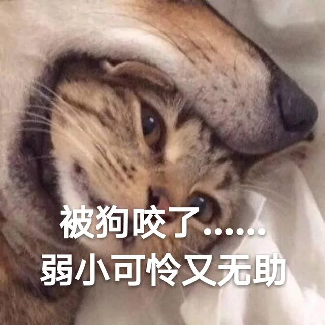 被狗咬了，弱小可怜又无助