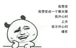 我想变成一个窜天猴 开心时 上天 不开心 爆炸