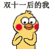 双十一后的我（小黄鸡剁手）
