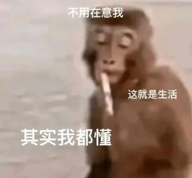 不用在意我这就是生活其实我都懂（不用在意我这就是生活其实我都懂）