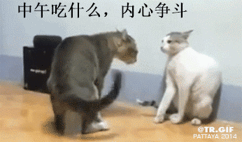 中午吃什么 内心斗争