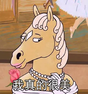 我真的很美