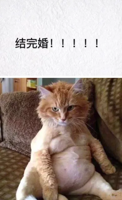 结完婚!!!!!