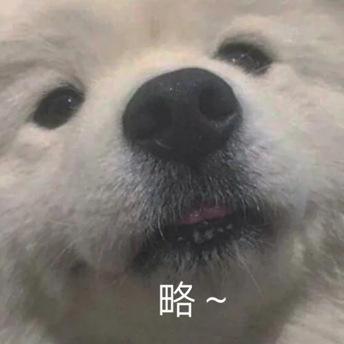 略~（汪星人表情包）（略~（汪星人表情包））