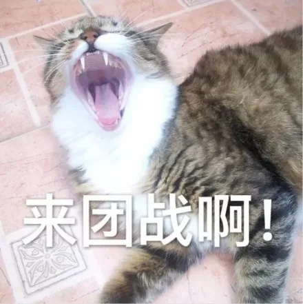 来团战啊（来团战啊）