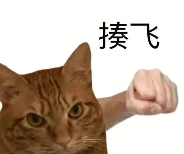 揍飞（揍飞）