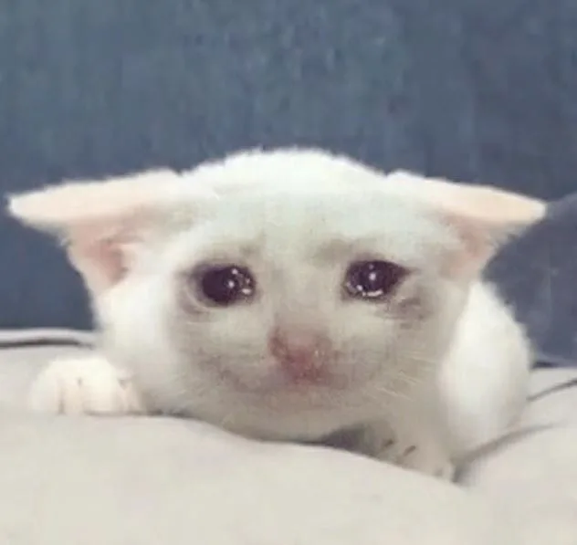 流泪猫咪