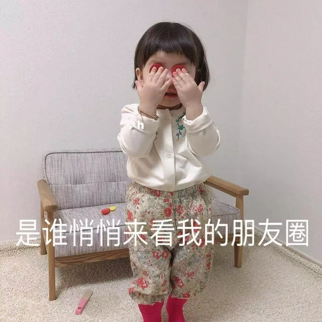 鑫来看我的朋友圈（鑫来看我的朋友圈）