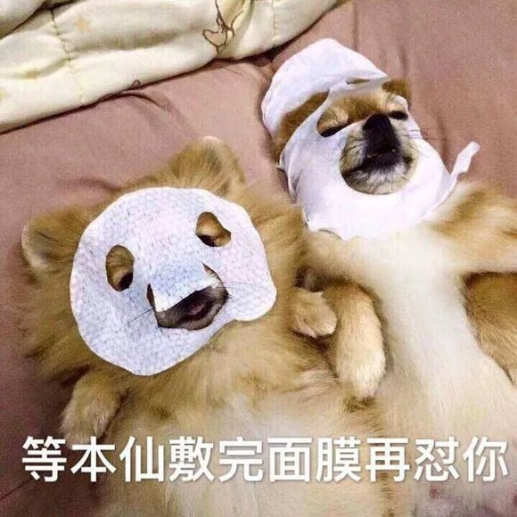 等本仙敷完面膜再怼你