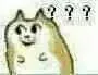 ？？？？