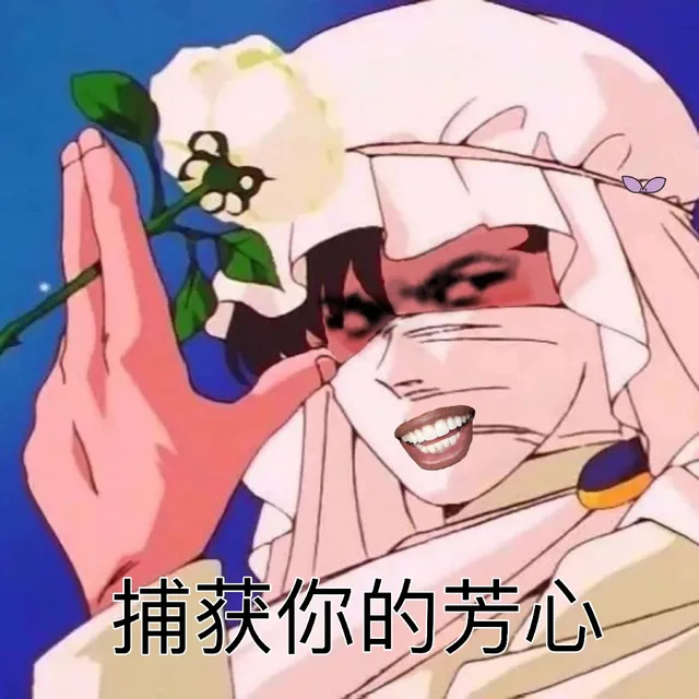 捕获你的芳心