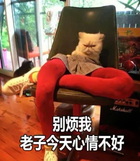 别烦我，老子今天心情不好