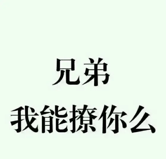 兄弟，我能撩你么（兄弟，我能撩你么）