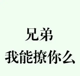 兄弟，我能撩你么