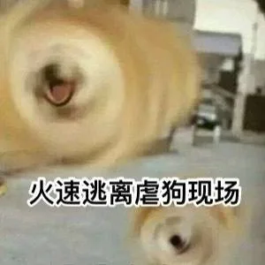 火速逃离虐狗现场（火速逃离虐狗现场）
