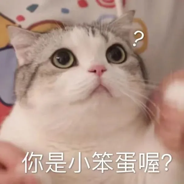 你是小笨蛋喔?
