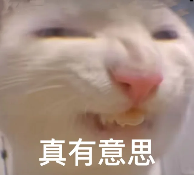 真有意思