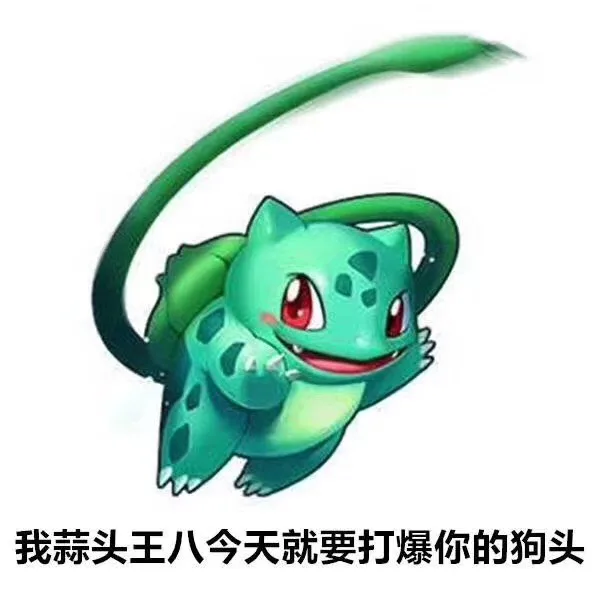 我蒜头王八今天就要打爆你的狗头