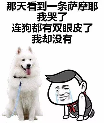那天看到一条萨摩耶，我哭了，连狗都有双眼皮了，我却没有